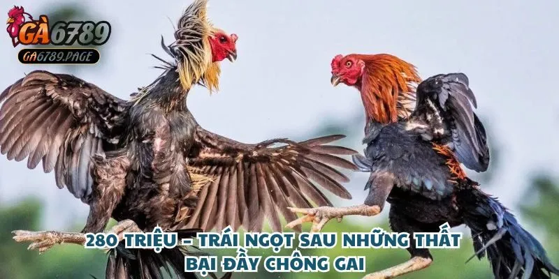 280 triệu – Trái ngọt sau những thất bại đầy chông gai