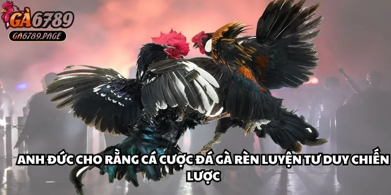 Anh Đức cho rằng cá cược đá gà là cách để rèn luyện tư duy chiến lược
