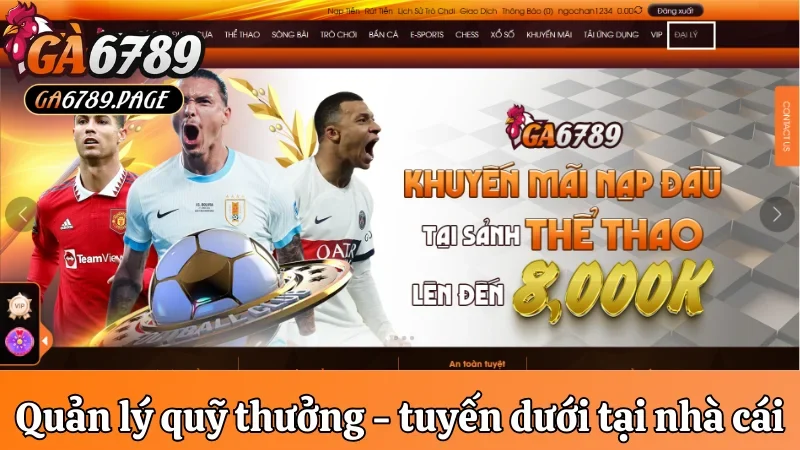 Cách Ga6789 quản lý quỹ thưởng quản lý tuyến dưới
