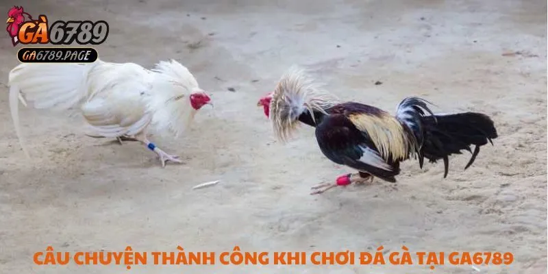 Chị Lê Thị Hồng Nhung Thắng 180 Triệu Từ Đá Gà Tại Ga6789