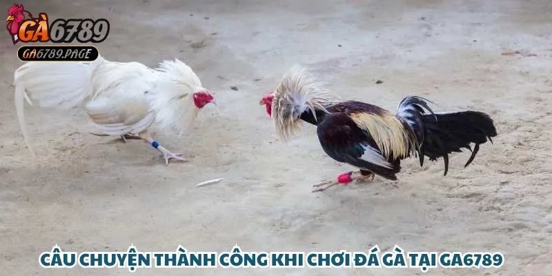Anh Đặng Quốc Huy Thắng 280 Triệu Từ Đá Gà Tại Ga6789