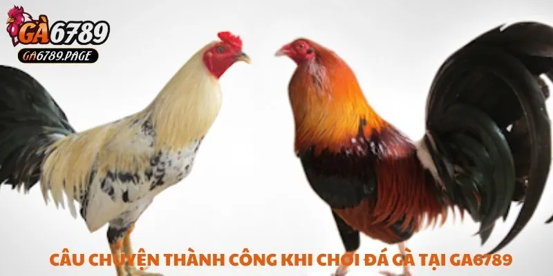 Chị Trần Ngọc Ánh Thắng 350 Triệu Từ Đá Gà Tại Ga6789