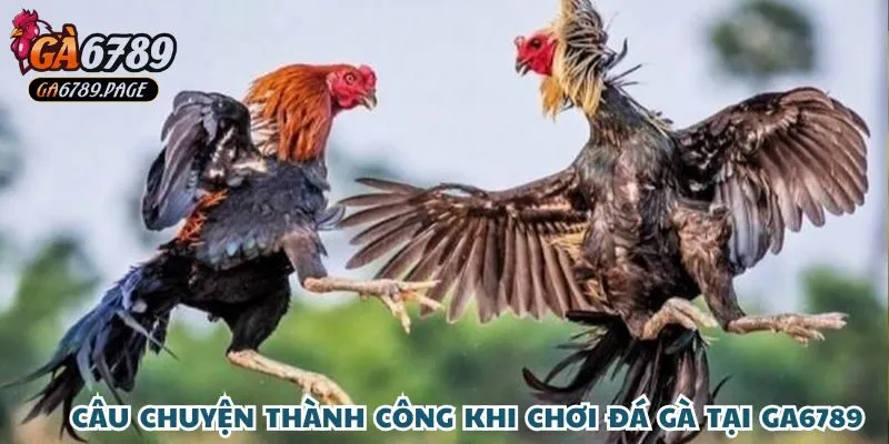 Anh Võ Minh Khang Thắng 220 Triệu Từ Đá Gà Tại Ga6789