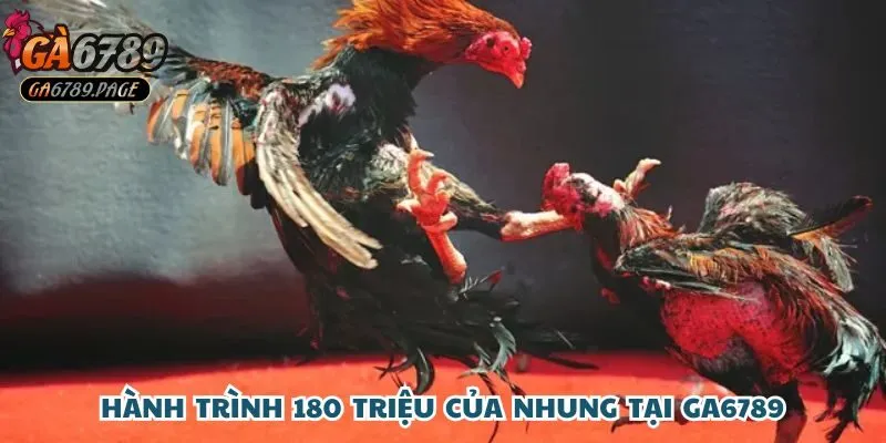 Chặng đường chinh phục 180 triệu đầy bản lĩnh của Nhung tại Ga6789