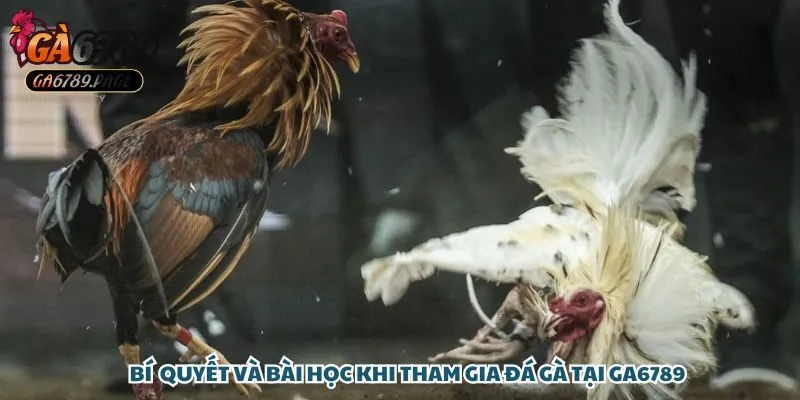 Sự kỹ lưỡng trong các trận đấu là yếu tố tiên quyết giúp anh giành chiến thắng!