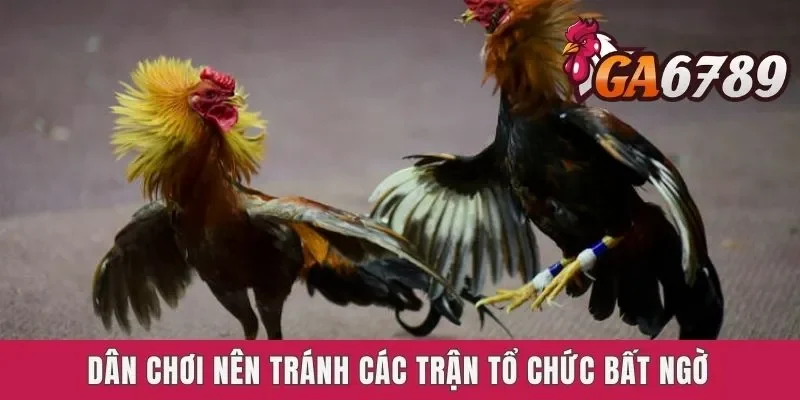 Dân chơi nên tránh các trận tổ chức bất ngờ