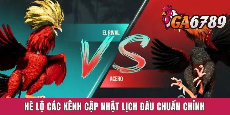 Hé lộ các kênh cập nhật lịch đấu chuẩn chỉnh
