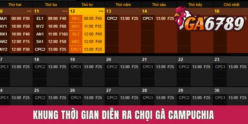 Khung thời gian diễn ra chọi gà Campuchia