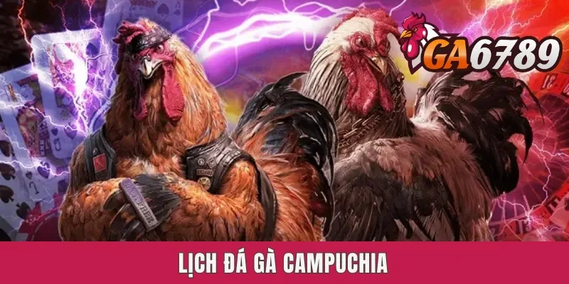 Lịch Đá Gà Campuchia - Cập Nhật Mới Nhất Hàng Ngày