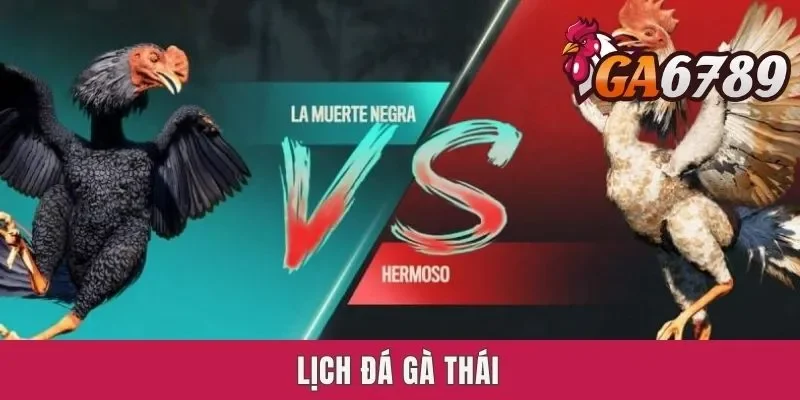 Lịch Đá Gà Thái - Cập Nhật Nhanh Tin Nóng Mỗi Ngày