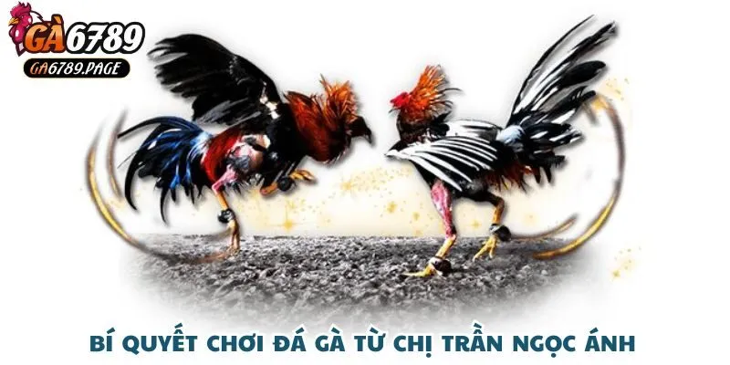 Mẹo chơi đắt giá từ hành trình của chị Trần Ngọc Ánh