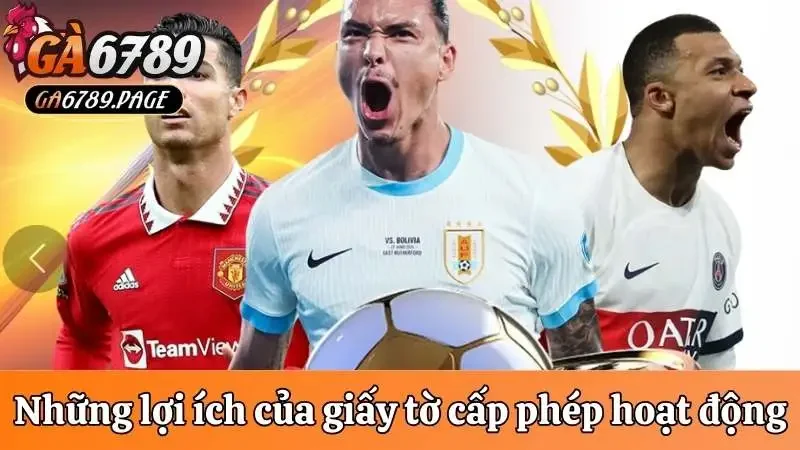 Những lợi ích của giấy tờ cấp phép hoạt động