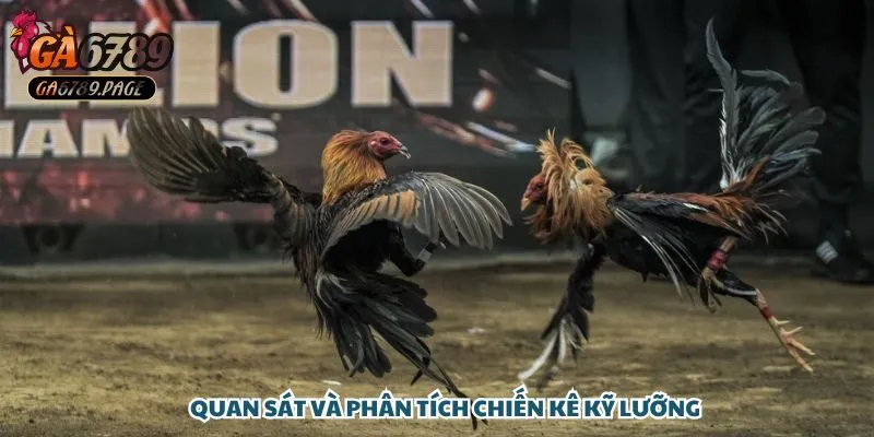 Chiến thuật của chị là quan sát thật kỹ để đưa ra lựa chọn chính sát