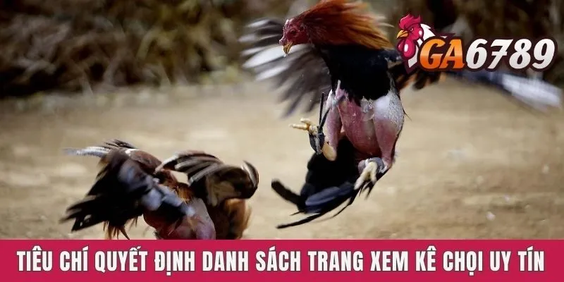 Tiêu chí quyết định danh sách trang xem kê chọi uy tín