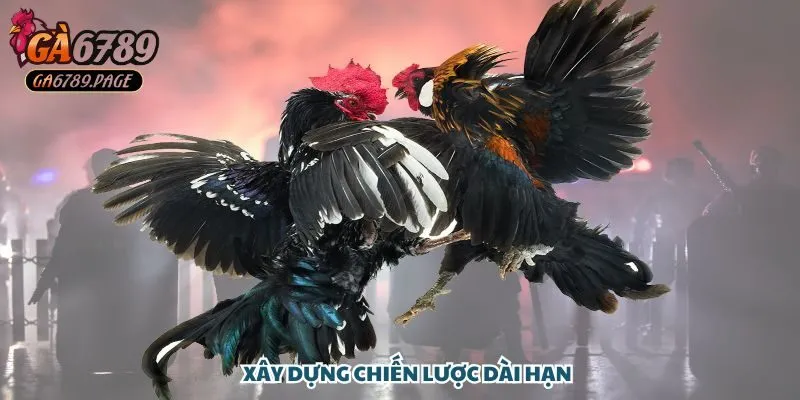 Xây dựng chiến lược dài hạn là yếu tố tiên quyết cho sự thành công của anh