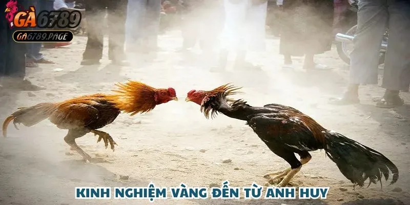 Tổng hợp chiến lược và bài học "vàng" từ cao thủ Ga6789 – Đặng Quốc Huy