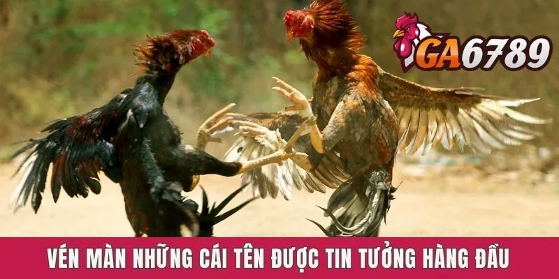 Vén màn những cái tên được tin tưởng hàng đầu